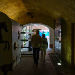 VHRS_-007_0725-45_WEB