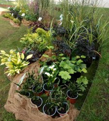 WhatsApp-Image-2025-08-27-at-12.43.51-3