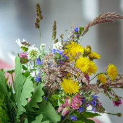 VHRS_-005_0725-12_WEB