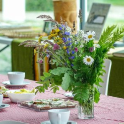 VHRS_-005_0725-19_WEB