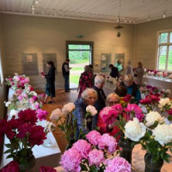 WhatsApp-Image-2025-06-27-at-15.19.07-1