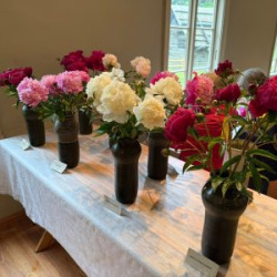 WhatsApp-Image-2025-06-27-at-15.19.07