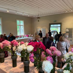 WhatsApp-Image-2025-06-27-at-15.19.08-1