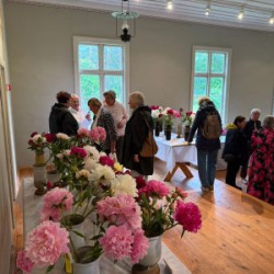 WhatsApp-Image-2025-06-27-at-15.19.08