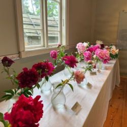 WhatsApp-Image-2025-06-27-at-15.19.09-1