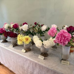 WhatsApp-Image-2025-06-27-at-15.19.09