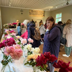 WhatsApp-Image-2025-06-27-at-15.19.22-1