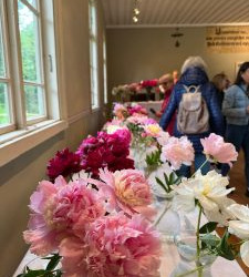 WhatsApp-Image-2025-06-27-at-15.19.22