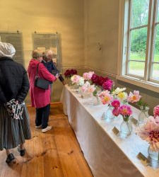 WhatsApp-Image-2025-06-27-at-15.19.23