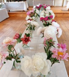 WhatsApp-Image-2025-06-27-at-15.54.39