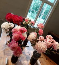 WhatsApp-Image-2025-06-27-at-15.54.43