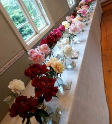 WhatsApp-Image-2025-06-27-at-15.54.46