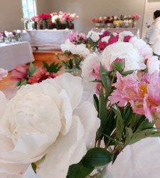 WhatsApp-Image-2025-06-27-at-15.54.51