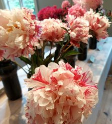 WhatsApp-Image-2025-06-27-at-15.54.56