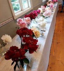 WhatsApp-Image-2025-06-27-at-15.55.00