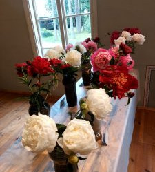 WhatsApp-Image-2025-06-27-at-15.55.01