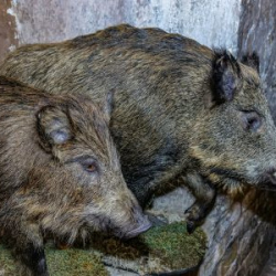 VHRS_-006_1125-14_WEB