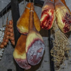 VHRS_-006_1125-15_WEB