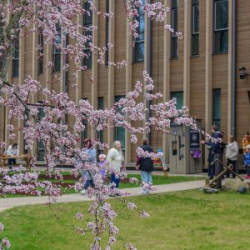 VHRS_-006_0525-11_WEB