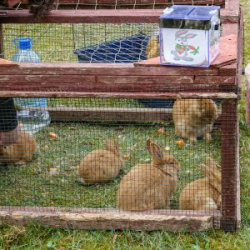 VHRS_-006_0525-12_WEB