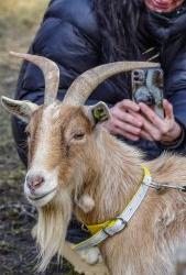 VHRS_014_0426-10_WEB