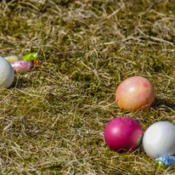 VHRS_014_0426-18_WEB