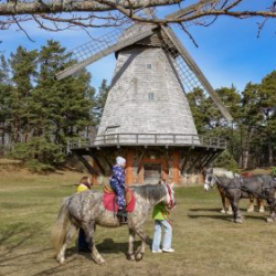 VHRS_014_0426-28_WEB