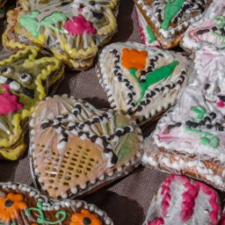 VHRS_014_0426-29_WEB