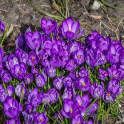 VHRS_014_0426-41_WEB