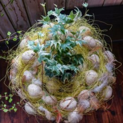 VHRS_014_0426-50_WEB