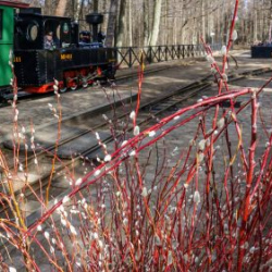 VHRS_014_0426-52_WEB