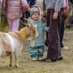 VHRS_014_0426-66_WEB