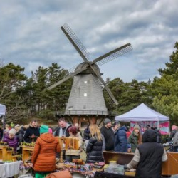 VHRS_014_0426-85_WEB