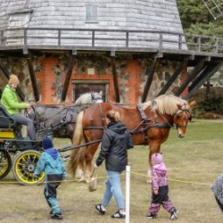 VHRS_014_0426-86_WEB