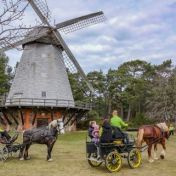 VHRS_014_0426-87_WEB