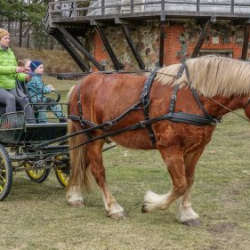 VHRS_014_0426-88_WEB