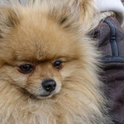 VHRS_014_0426-90_WEB