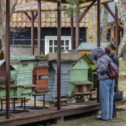 VHRS_014_0426-99_WEB