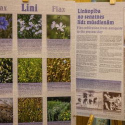 VHRS_-002_0925-2_WEB