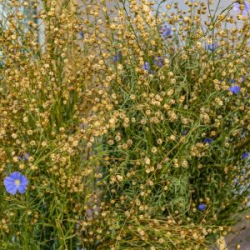 VHRS_-002_0925-4_WEB