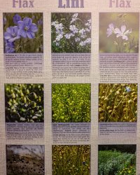 VHRS_-002_0925-6_WEB