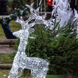 VHRS_-014_0126-20_WEB