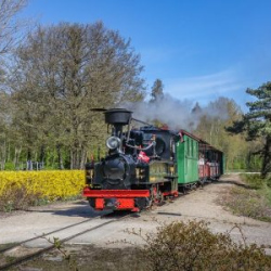 VHrS_-020_0525-1_WEB-1