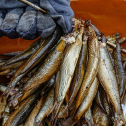 VHRS_-022_0725-17_WEB