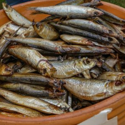 VHRS_-022_0725-19_WEB