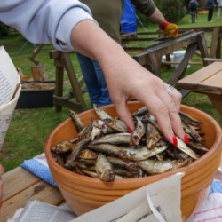 VHRS_-022_0725-20_WEB