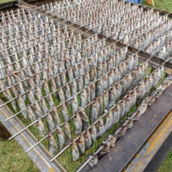 VHRS_-022_0725-47a_WEB