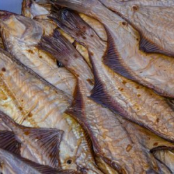 VHRS_-022_0725-49_WEB