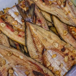 VHRS_-022_0725-50_WEB