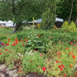 VHRS_-022_0725-58_WEB